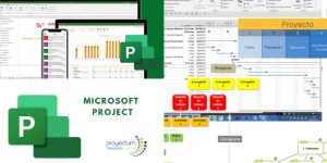 Microsoft Project® Para Dirigir Proyectos
