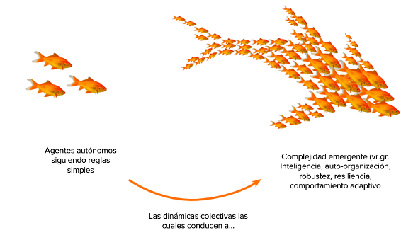 Características CAS