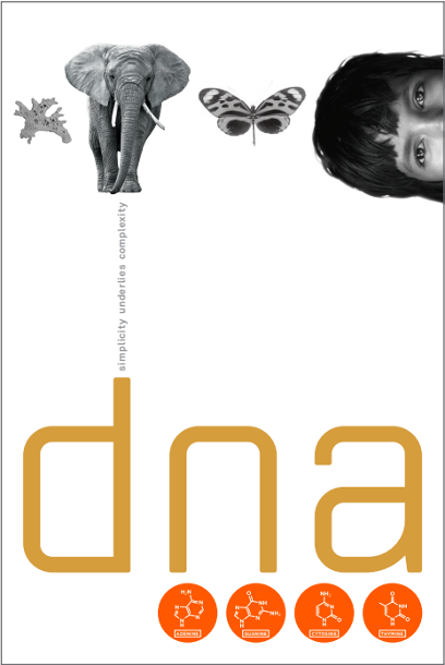 DNA