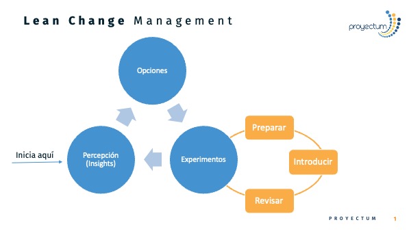 Lean Change Management 1