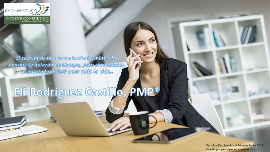 Eli Rodríguez Castillo, PMP® Eli Rodríguez Castillo, PMP®